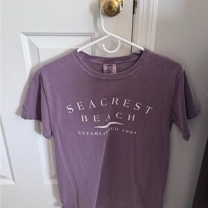 Comfort Colors Lavender Tee
